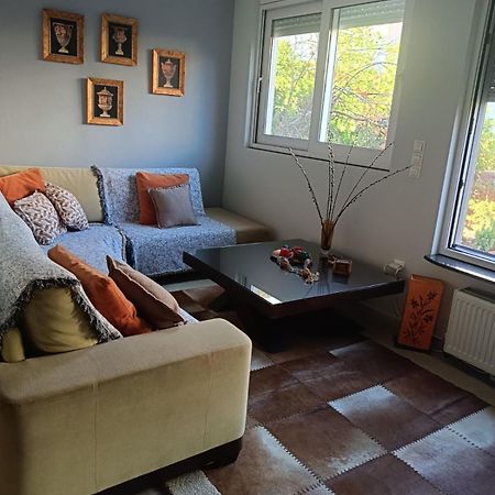 דירות אתונה Lefkothea'S House מראה חיצוני תמונה
