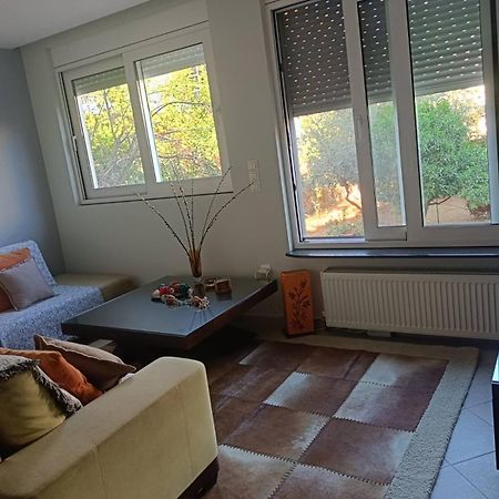 דירות אתונה Lefkothea'S House מראה חיצוני תמונה